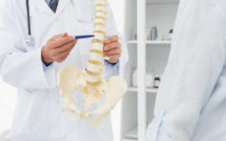 Close-up mid section of a doctor explaining the spine to patient in medical office